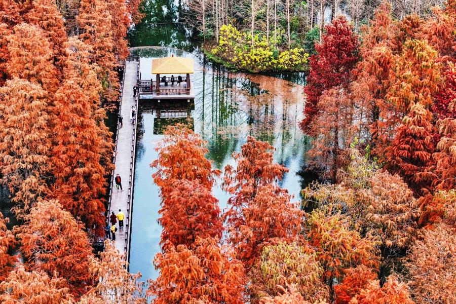 O 14º Plano Quinquenal de Xangai amplia significativamente espaços verdes