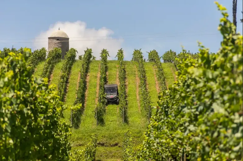 Vinhos de Portugal e Brasil serão apresentados na Feira Internacional de Vinhos de Xangai