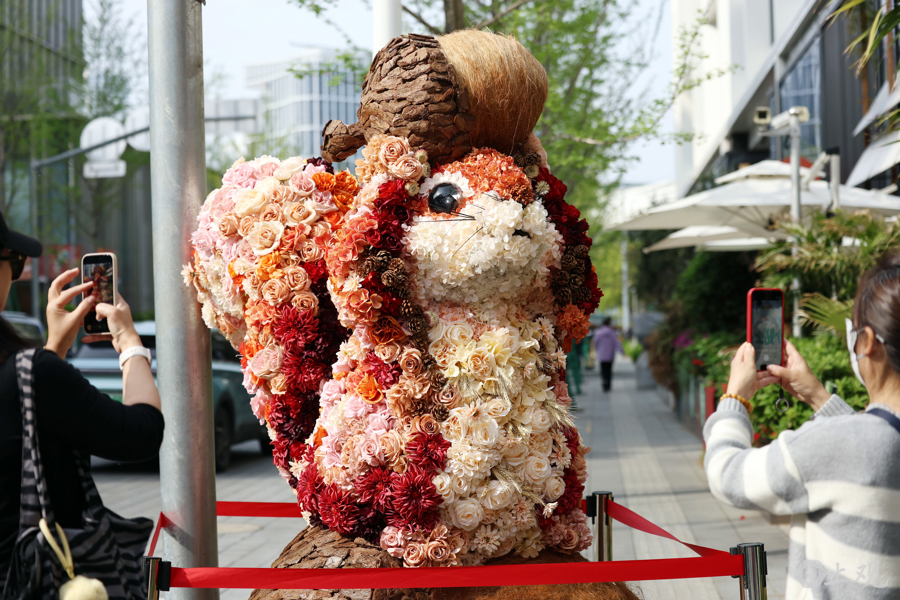 Exposição Internacional de Flores de Xangai impulsiona o consumo