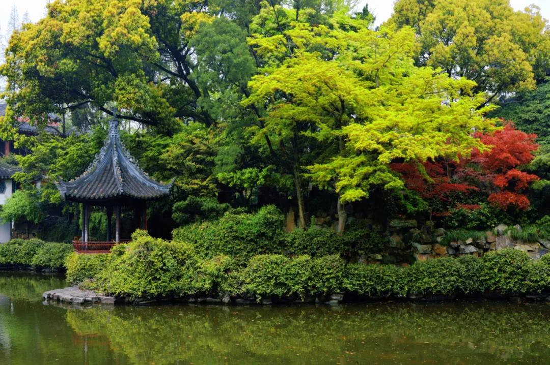 Jardins clássicos de Xangai na primavera: época ideal para visitar