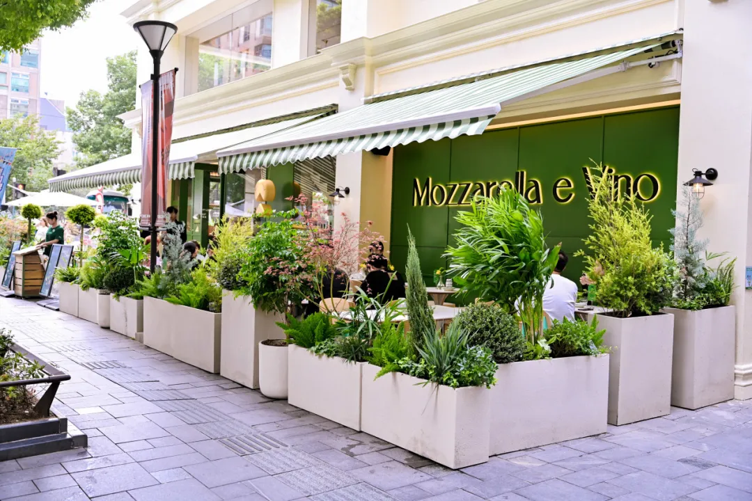 5 Mozzarella e Vino.png