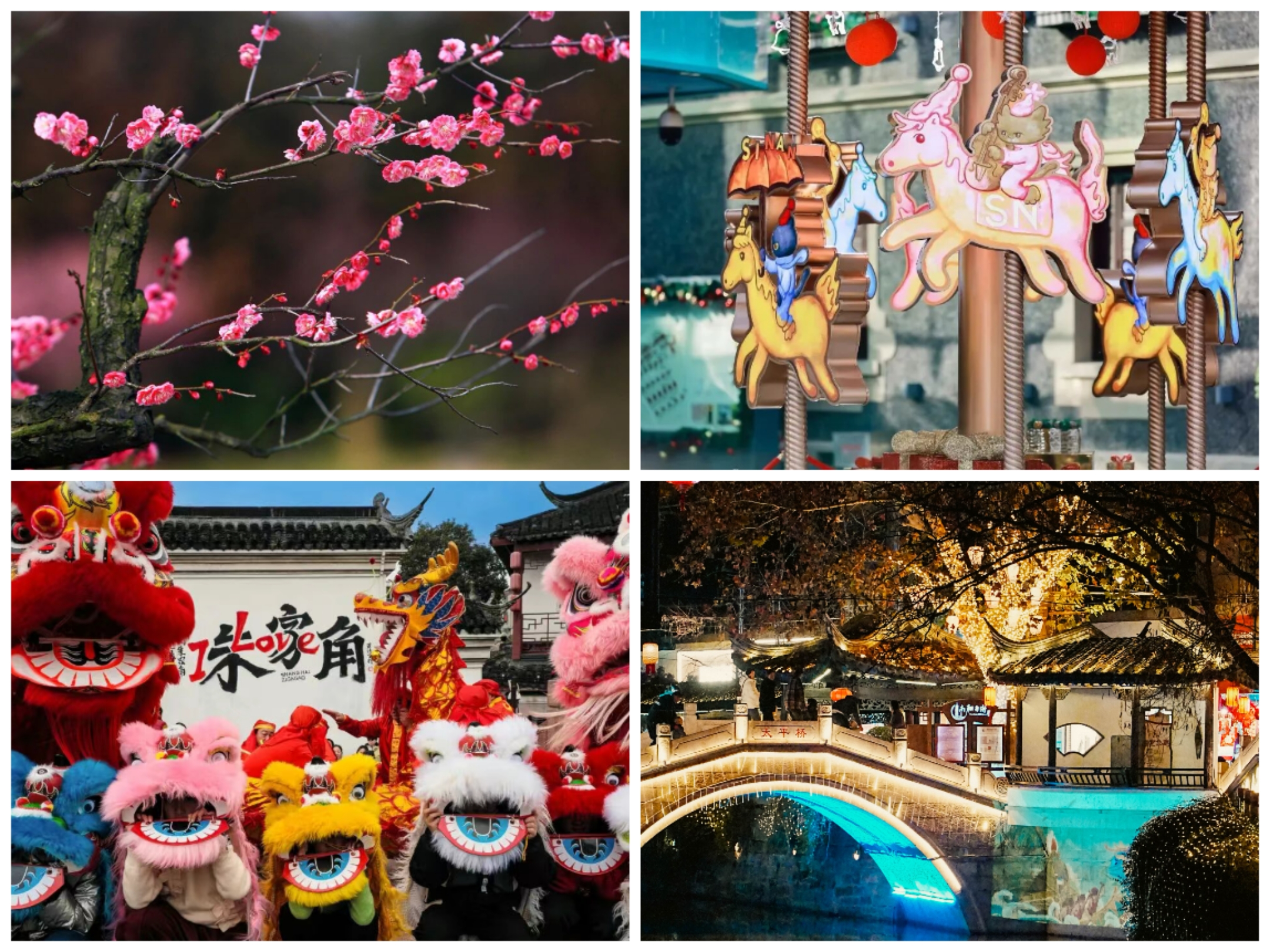 Celebrações festivas, apresentações e exposições em fevereiro