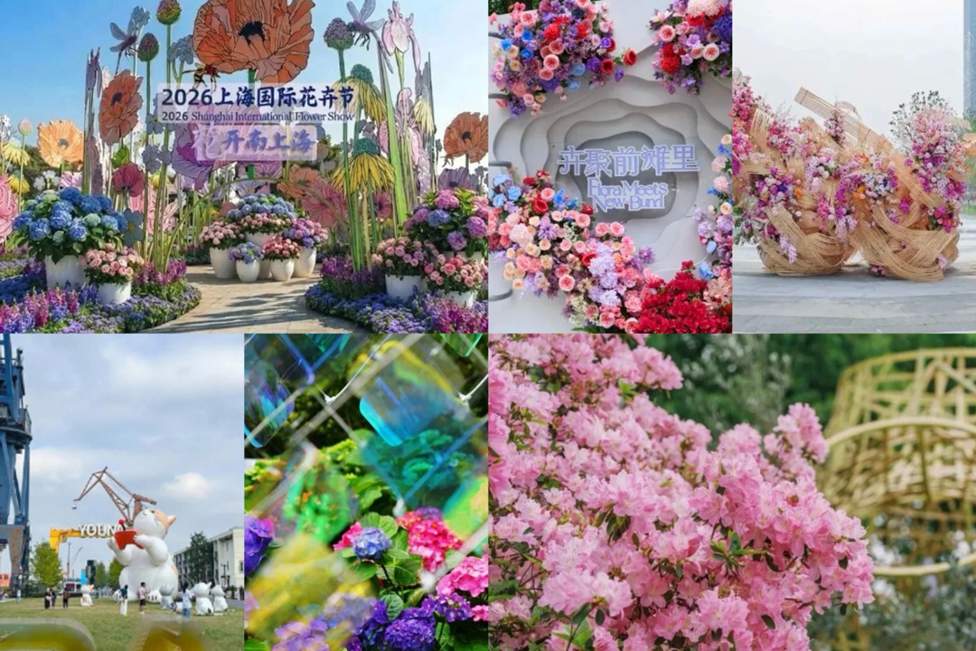 Roteiro das flores da primavera: 10 locais por Xangai