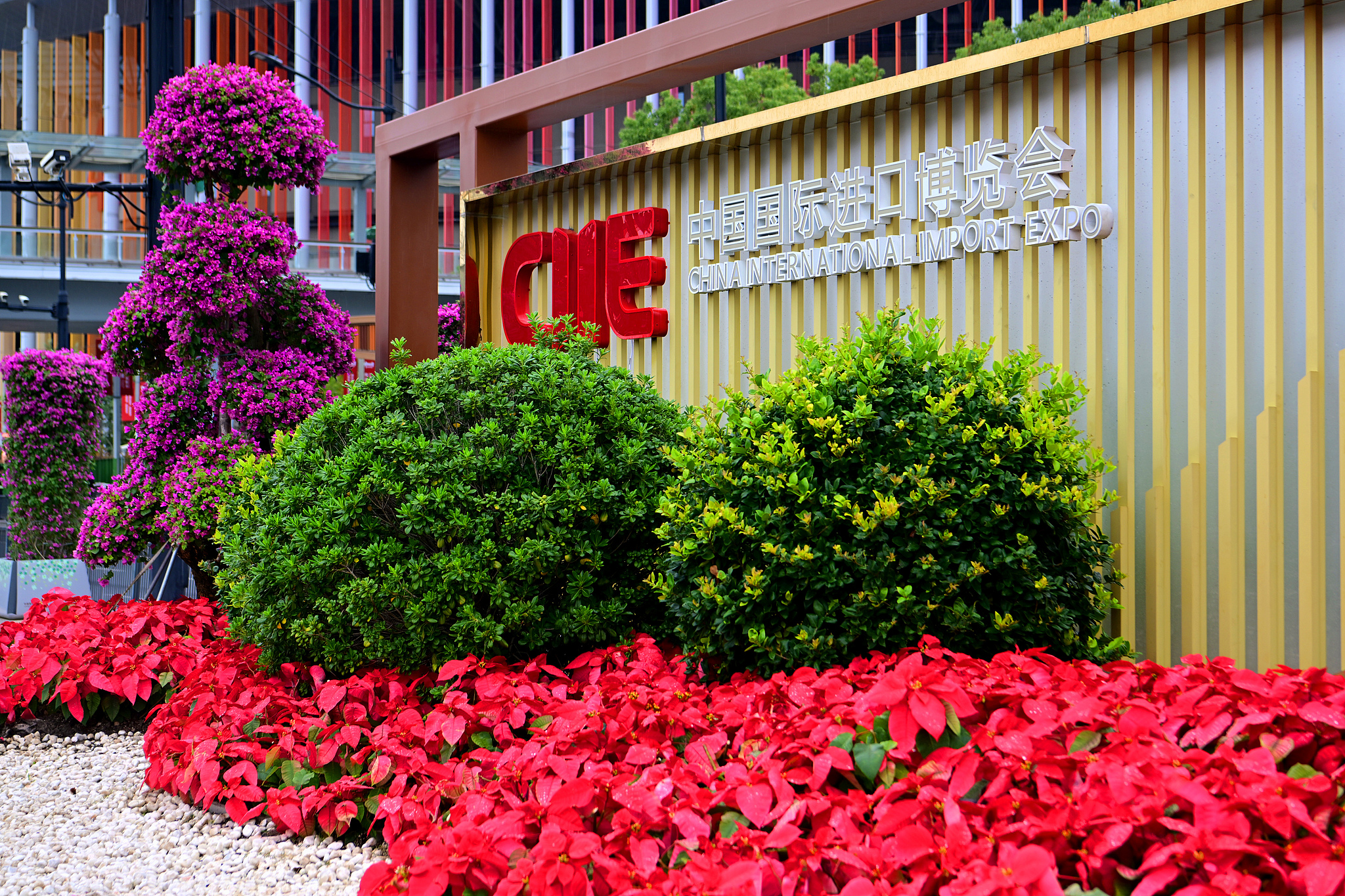 Centro Logístico Aduaneiro de Hongqiao CBD (Tipo B) apoia a 8ª CIIE