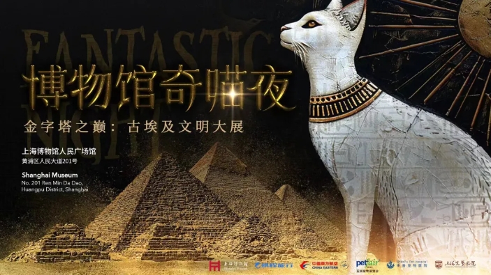 Museu apresenta noites para gatos na exposição egípcia