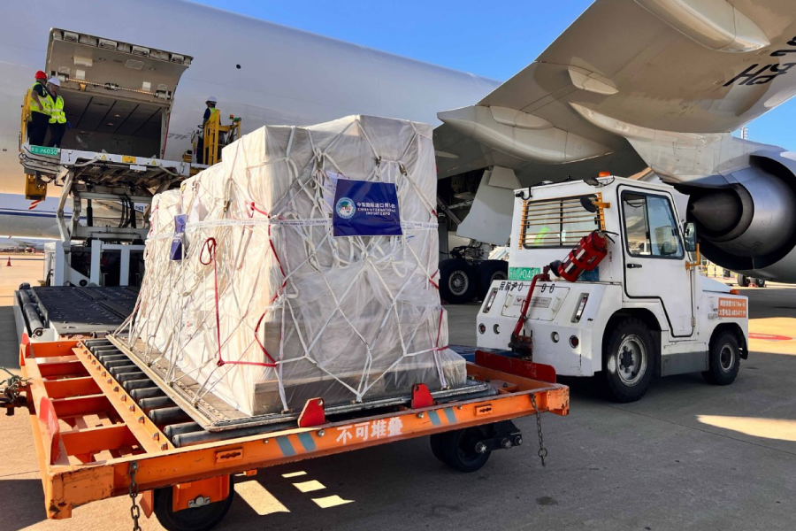 Primeiros itens de exposição chegam a Xangai para a 8ª CIIE