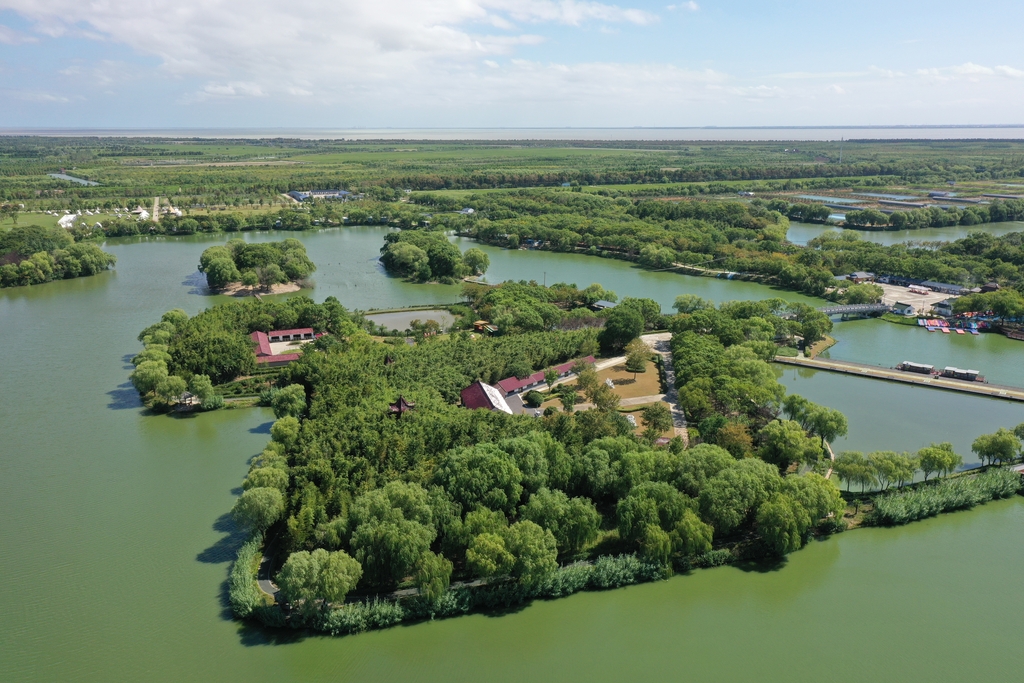 Xangai traça metas ambiciosas de transição verde para 2030