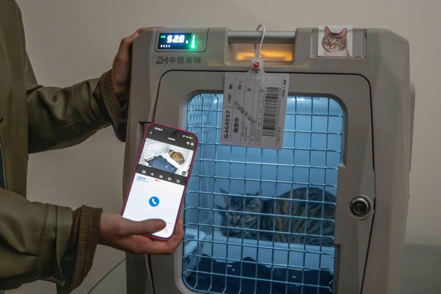 Como levar seus amigos peludos em um trem de alta velocidade